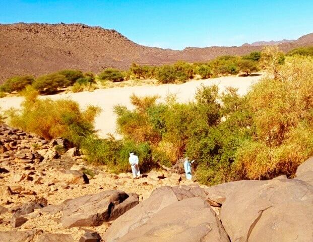 direction-tourisme-artisanat-bordj-badji-mokhtar1 (1)